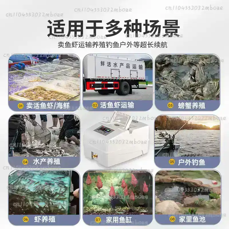 جهاز أكسجين خاص لتربية الأسماك - مراجعة Fishing Equipment To Sell وسعره